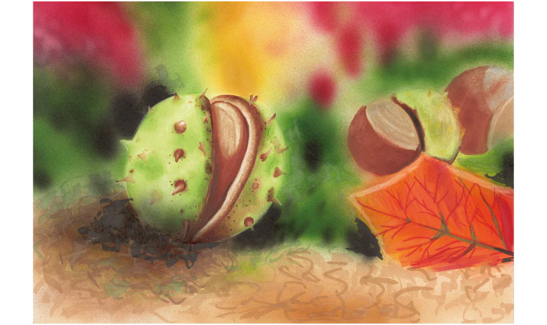Copic Classic Marker Pen Set of 12 Autumn Colours - Image 5