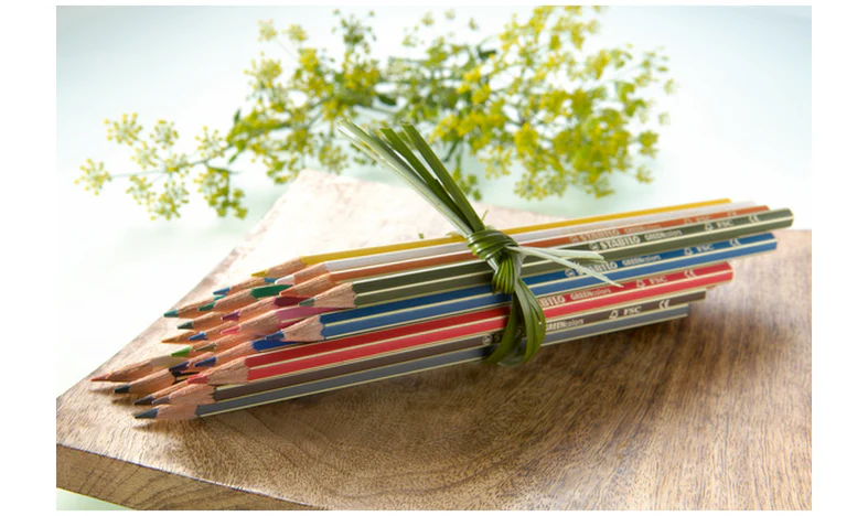 Eco-Friendly Colouring Pencil - STABILO GREENcolors ARTY - Pack of 24 - Assorted Colours - Image 5